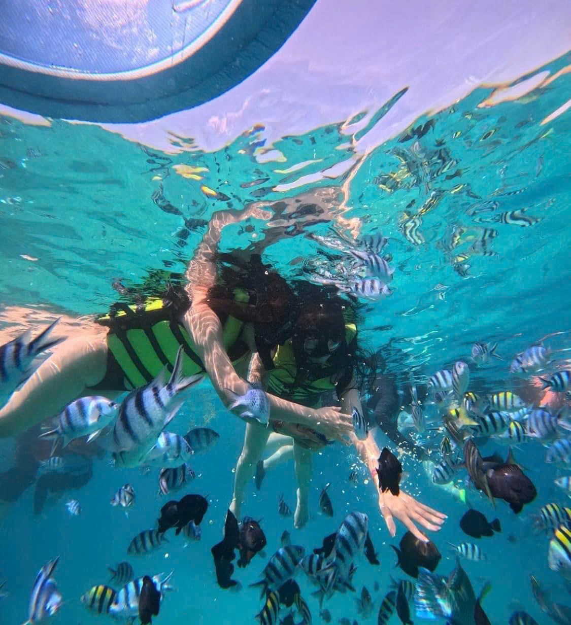 TOUR NHA TRANG GIÁ RẺ 