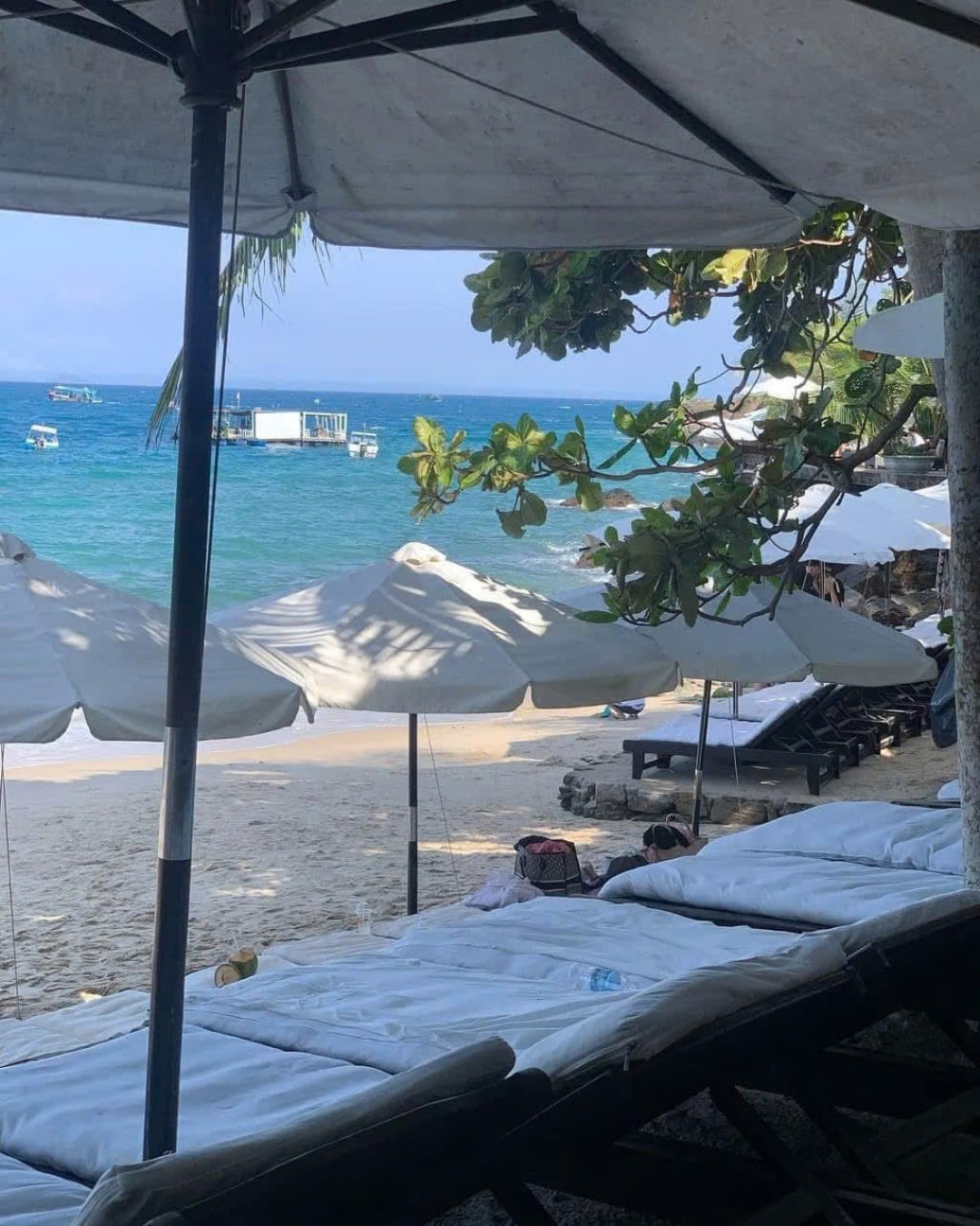 TOUR NHA TRANG GIÁ RẺ 