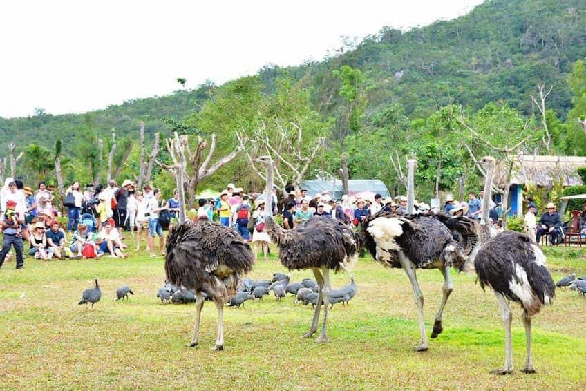 TOUR NHA TRANG GIÁ RẺ